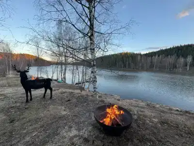 Карельские Лага - 56