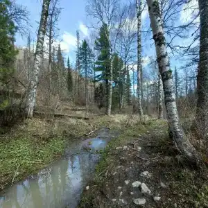 Теремок - 23