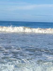 Hansa Surf - 14