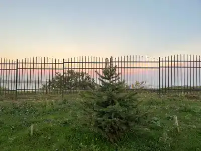 Юнона - 22