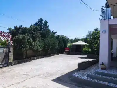 Регата - 30