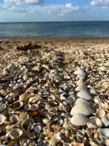 Морская дача - 8