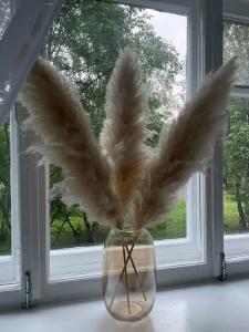 Лопарочка - 58