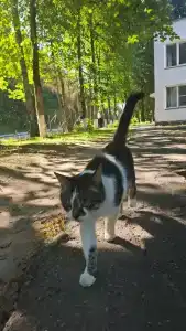 Кристалл - 57