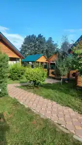Ной - 66