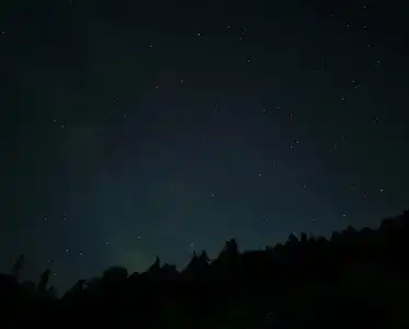 Фишт - 40