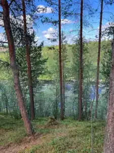 Каравелла - 78