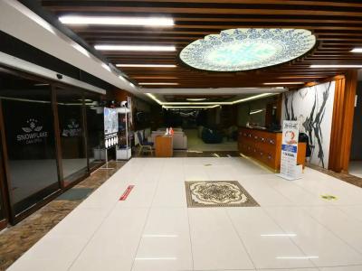 Snowflake Dag & Spa - 2