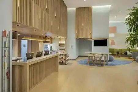 Hilton Garden Inn Tbilisi Riverview - 47