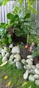 Дачная - 26