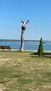 Волга - 61