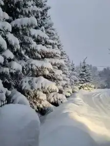 Лапландия - 21