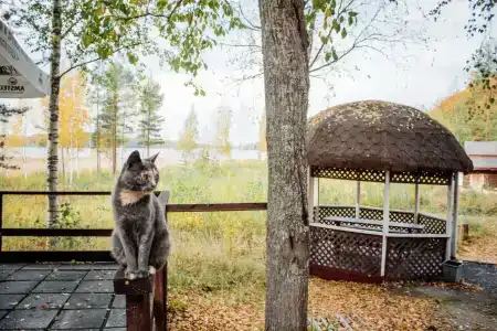 Авиаретро - 17