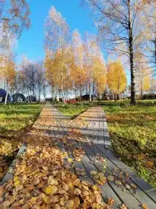 Глэмпинг Ветрено - 22