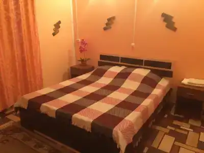 Фламинго - 10