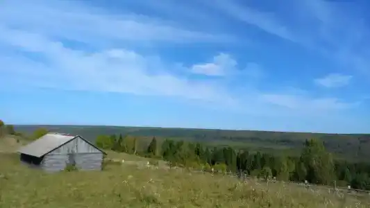 Конная база в Михайловском - 77