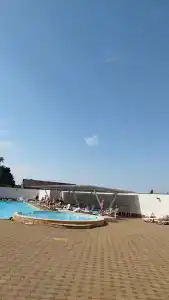 Фламинго - 54