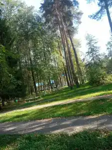 Городец - 52
