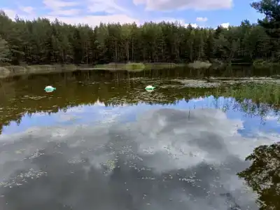 Чёрное озеро - 2
