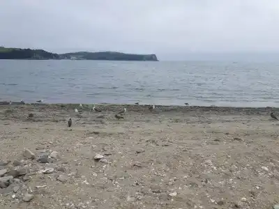 Зелёная полянка - 64