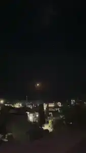 У Роберта - 19