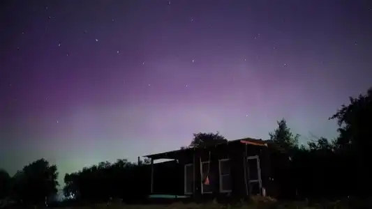 Лейк лайф - 4