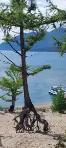 Байкал - 64