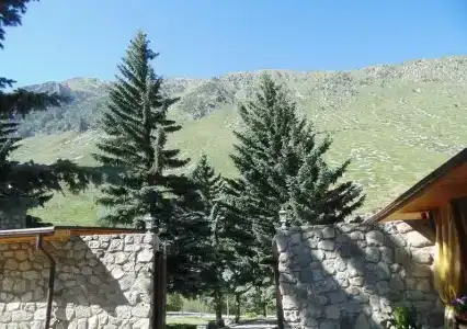 Старый Аламат - 99