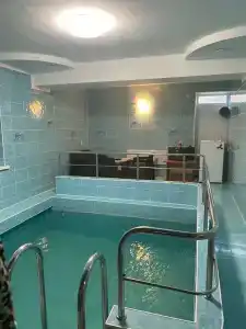 Спс - 81