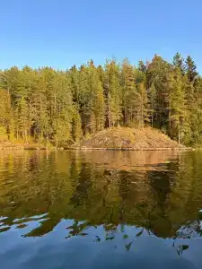 Villy Uley Karelia (Вили Улей Карелия) - 79