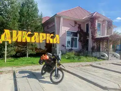 Дикарка - 1