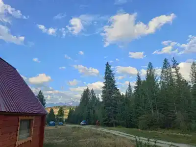 Ясная поляна - 28
