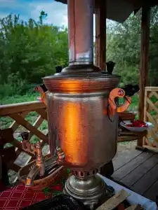 Сибарит - 6