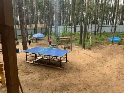Аист - 1