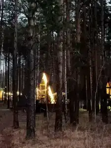 Шелест - 9