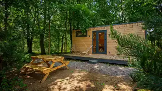 Лесной Привал - 96