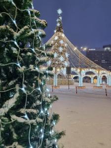 Меридиан - 31