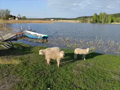 ЭкоОстров - 4