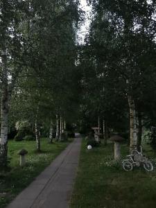 Заречаны - 88