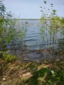 Волга - 9