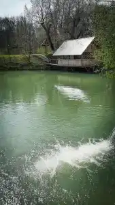 Хуторок - 12