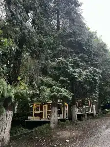 Зайки в домике - 0