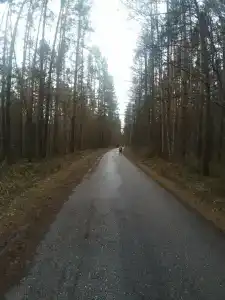 Санаторий Магистраль - 38