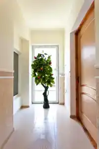 Лонгвина - 2