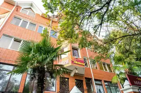 Альбатрос - 36