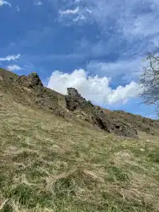 Майли - 36
