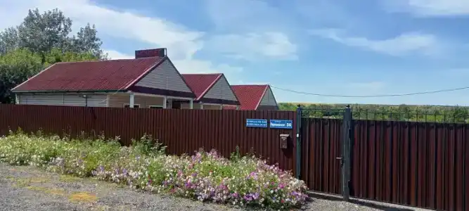 У Светланы - 1