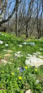 Домик у обрыва - 51