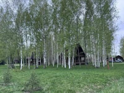 Колкуново - 93