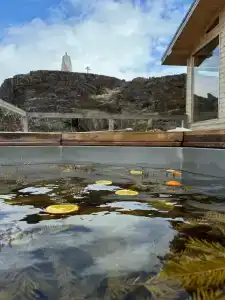 Cedar Grass Териберка - 68